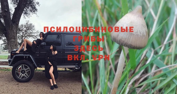 прущая мука Зеленодольск