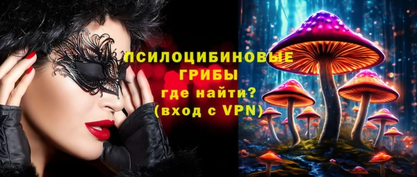 хмурый Зерноград
