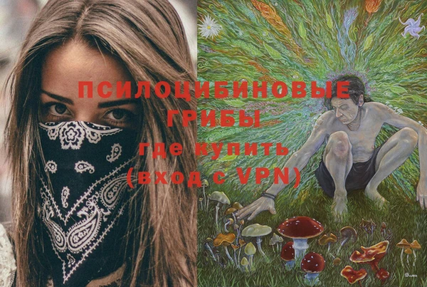 бутик Зеленокумск
