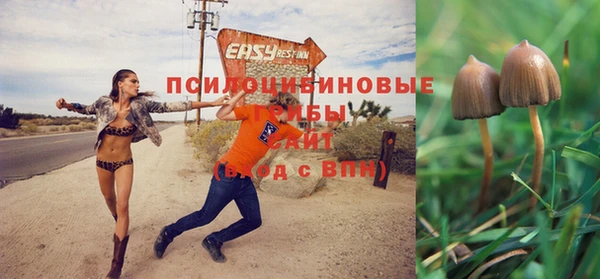 прущая мука Зеленодольск