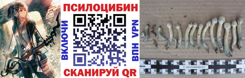 Купить  Калачинск  Псилоцибиновые грибы мицелий 