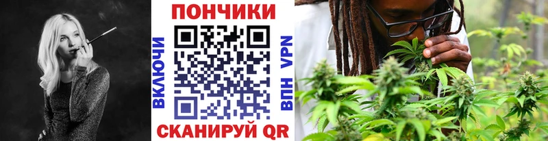 Шишки марихуана семена  Купить закладки  Калачинск 